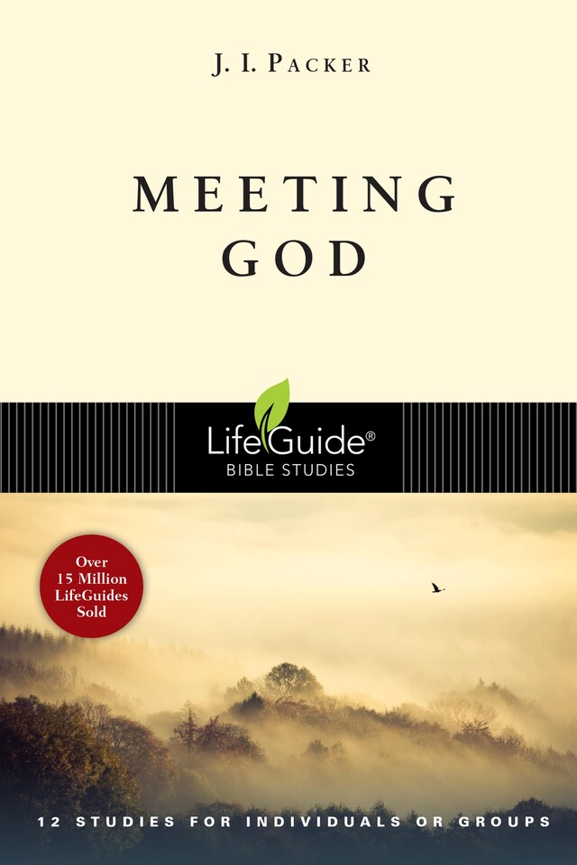 Copertina del libro per Meeting God