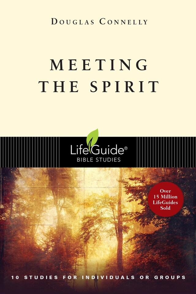 Book cover for Meeting the Spirit