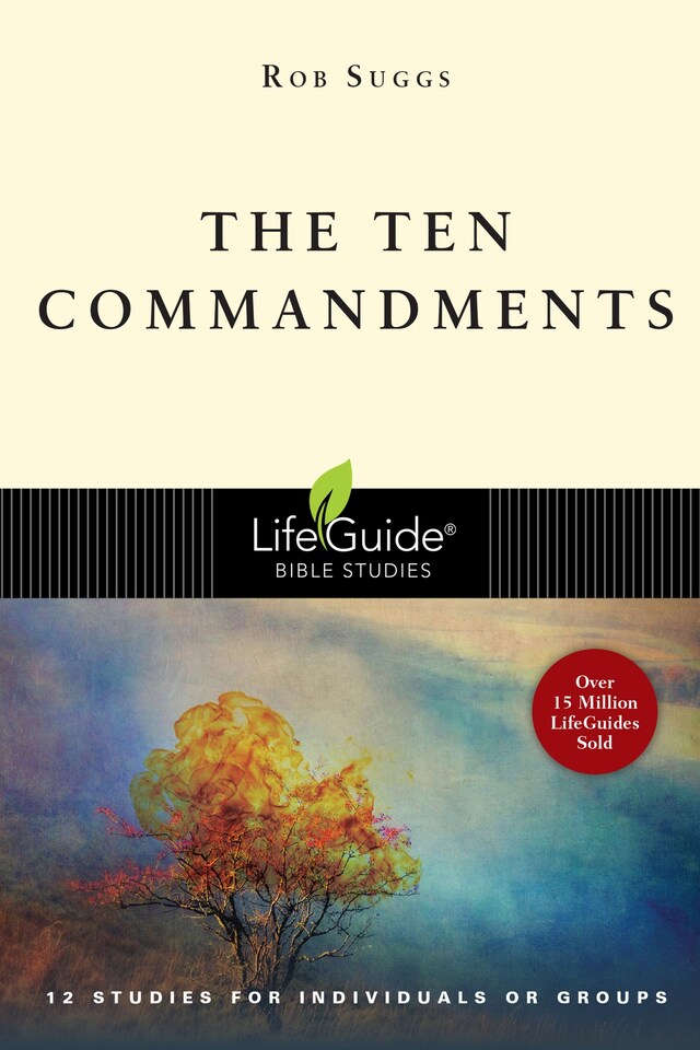 Copertina del libro per The Ten Commandments