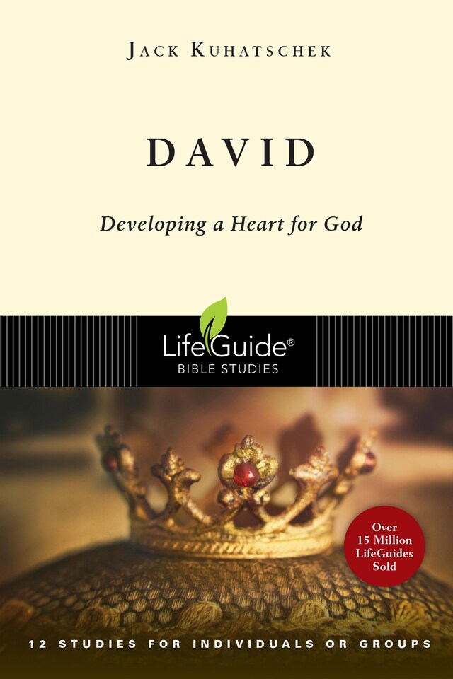 Book cover for David