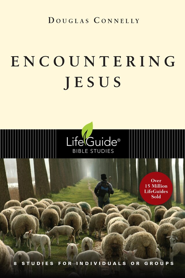 Copertina del libro per Encountering Jesus