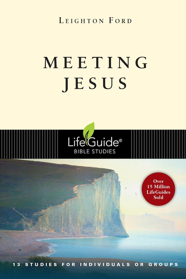 Copertina del libro per Meeting Jesus