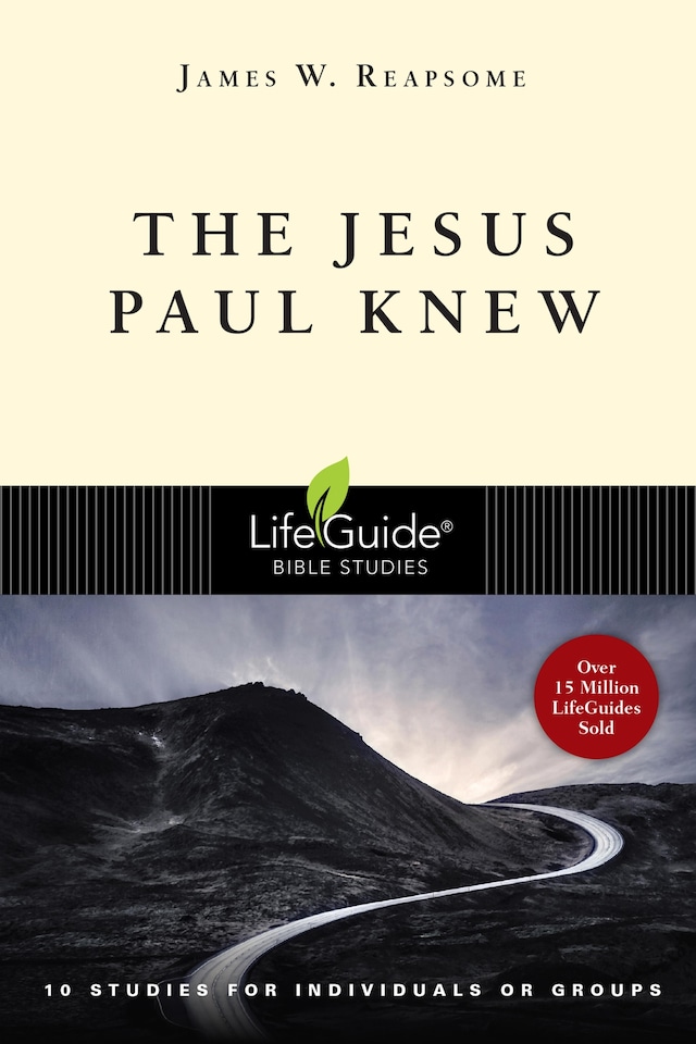 Book cover for The Jesus Paul Knew