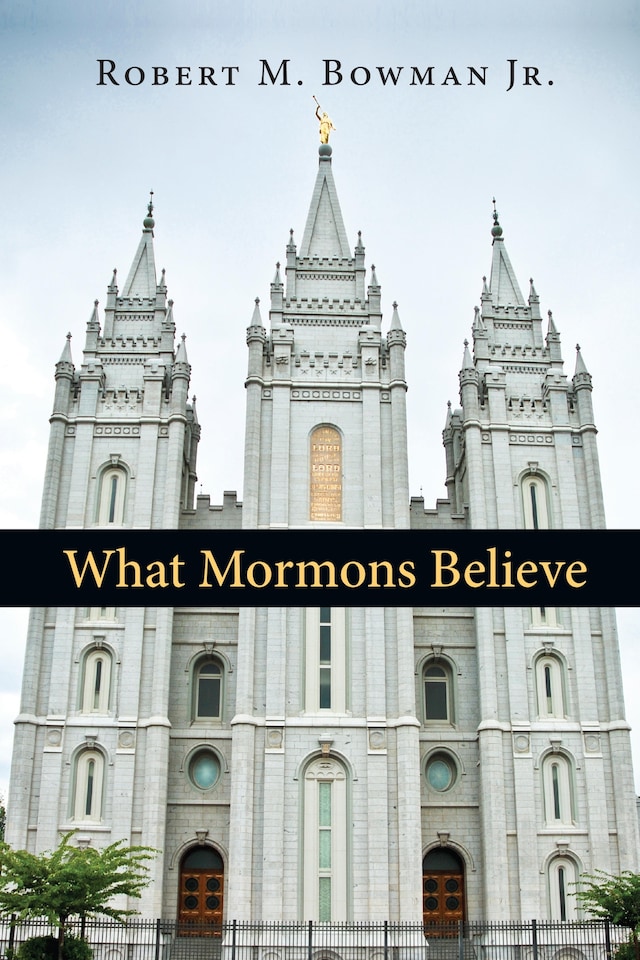 Boekomslag van What Mormons Believe