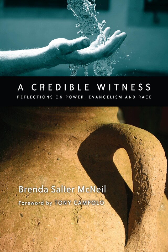 Buchcover für A Credible Witness