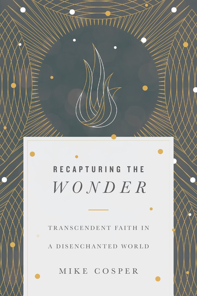 Book cover for Recapturing the Wonder