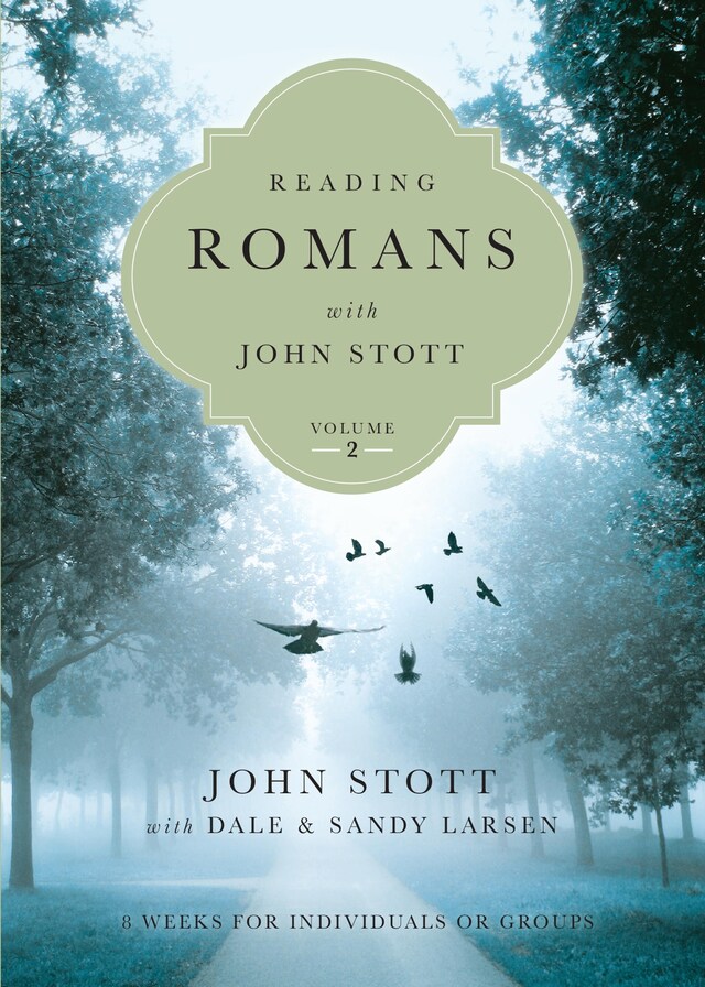 Book cover for Reading Romans with John Stott