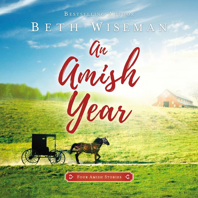Bogomslag for An Amish Year
