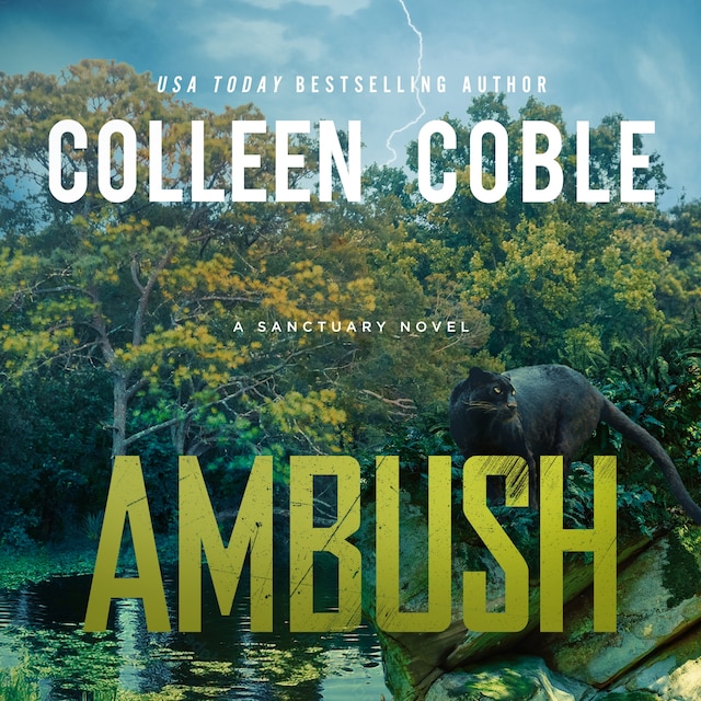 Book cover for Ambush