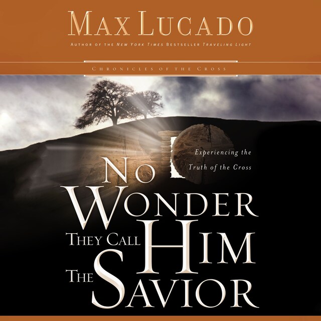 Book cover for No Wonder They Call Him the Savior