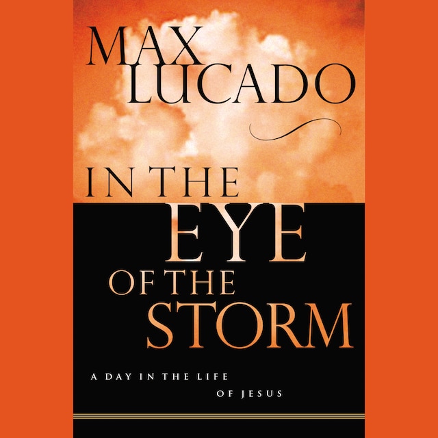 Buchcover für In the Eye of the Storm