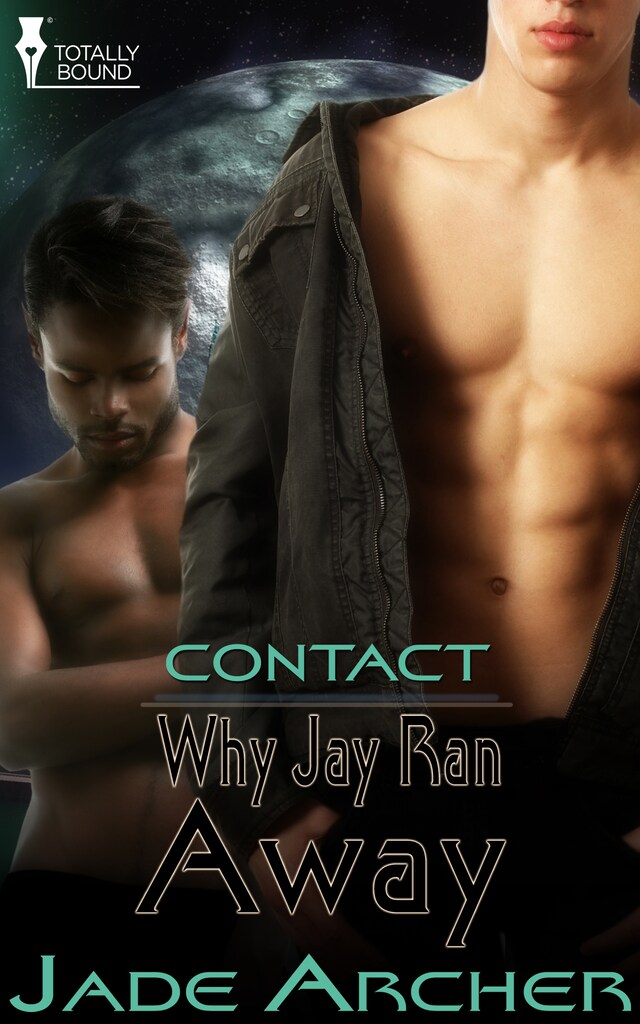 Book cover for Why Jay Ran Away