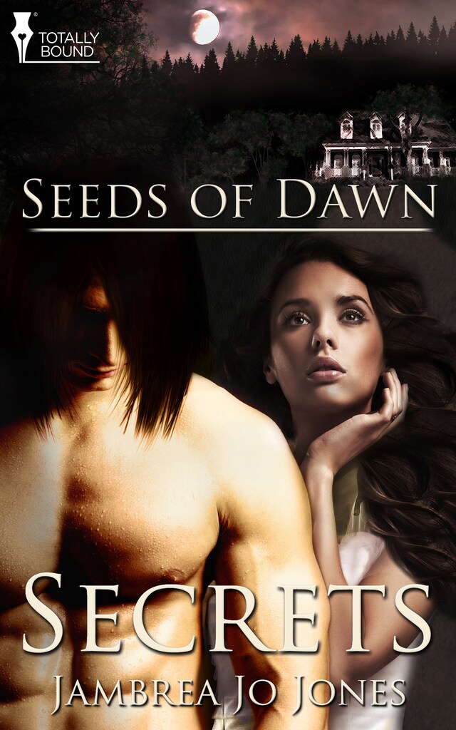 Book cover for Secrets