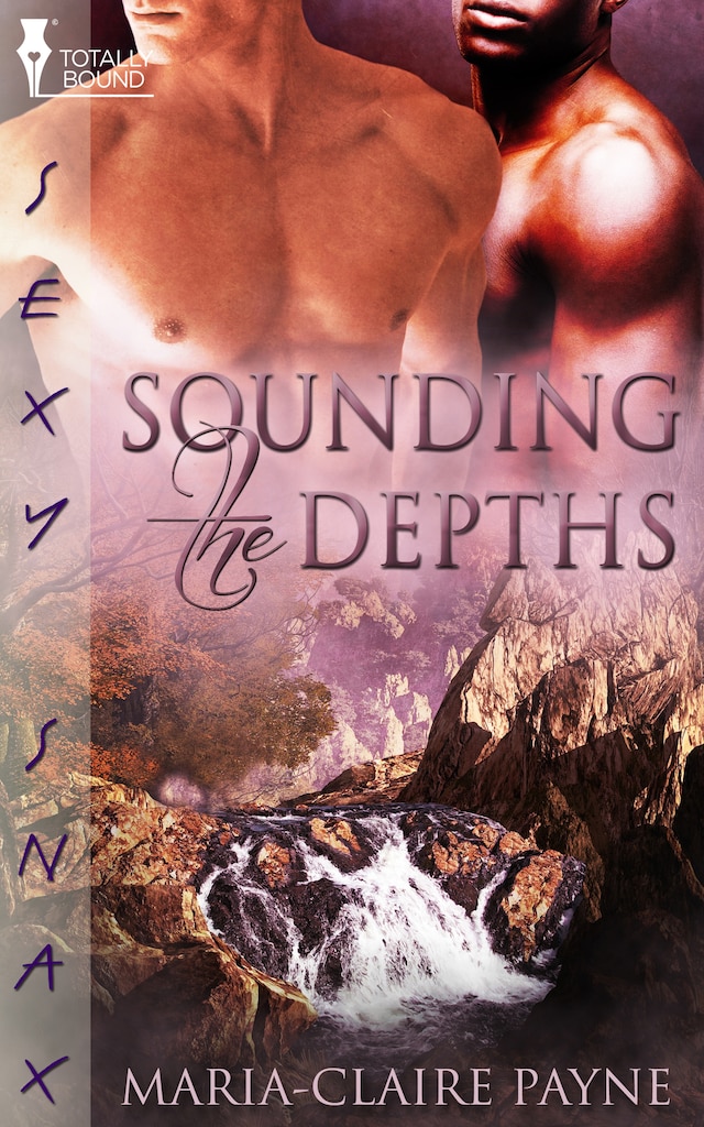 Buchcover für Sounding the Depths