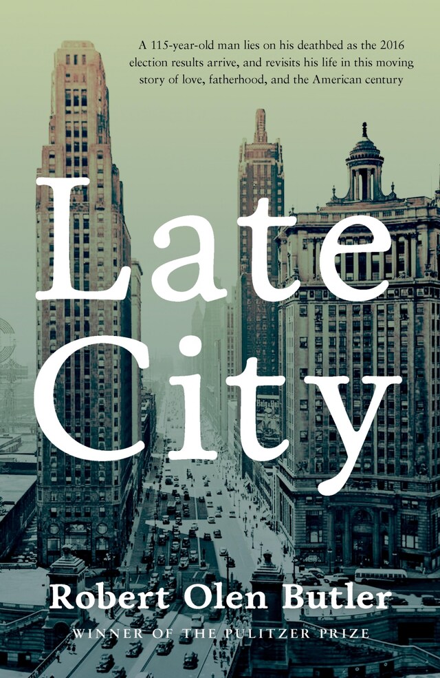 Book cover for Late City