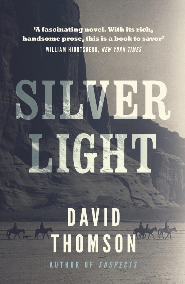 Book cover for Silver Light