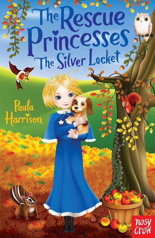 Book cover for The Rescue Princesses: The Silver Locket