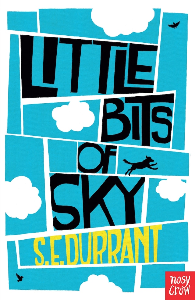 Book cover for Little Bits of Sky