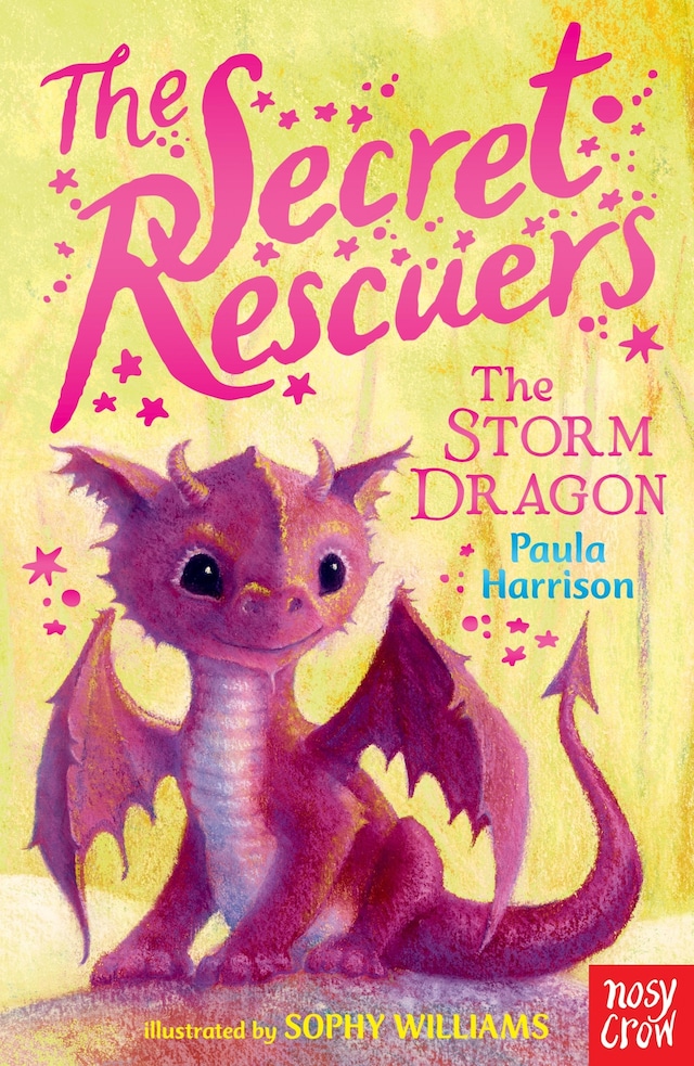 Copertina del libro per The Secret Rescuers: The Storm Dragon