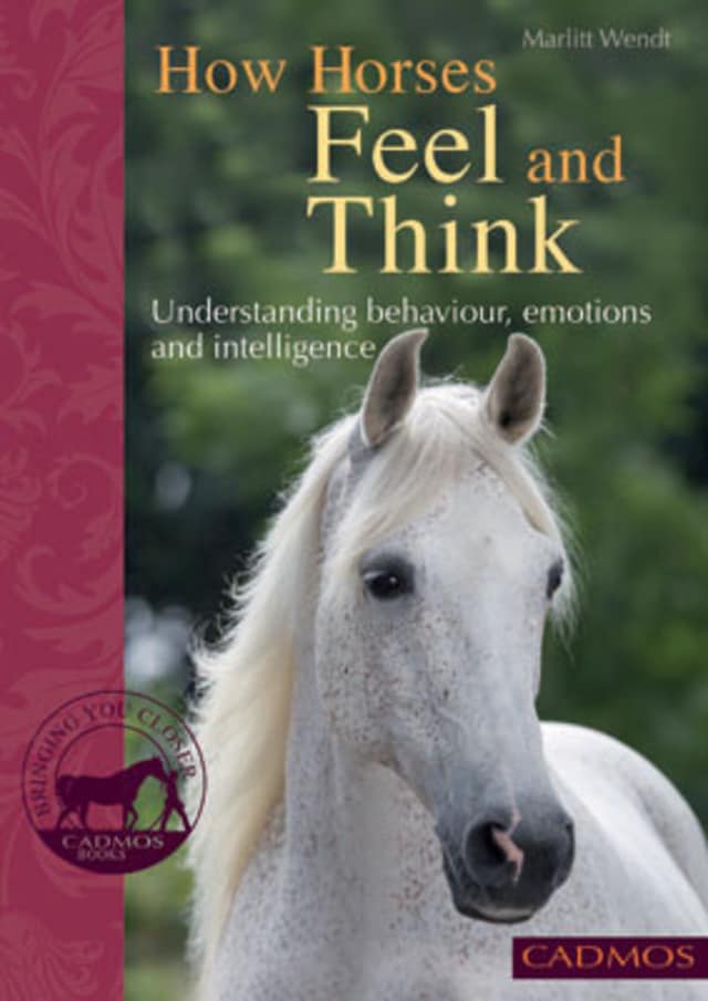Book cover for How Horses Feel and Think