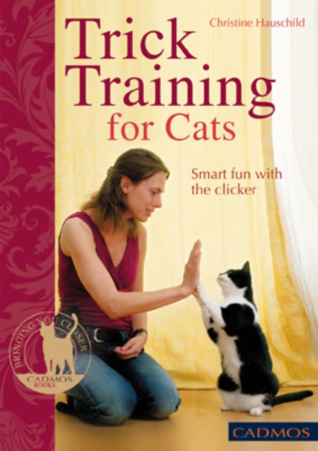 Kirjankansi teokselle Trick Training for Cats