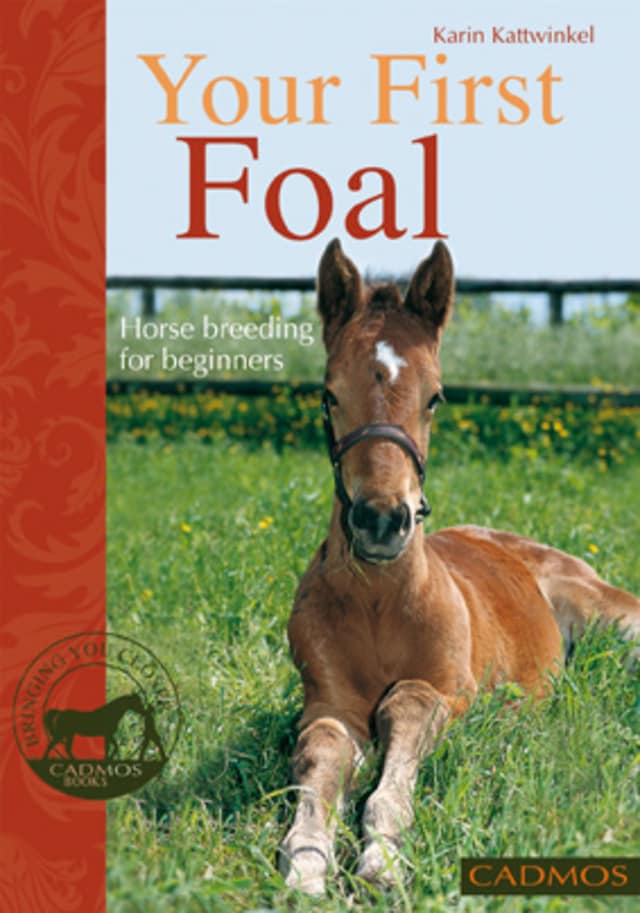 Book cover for Your First Foal
