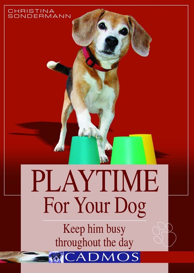 Kirjankansi teokselle Playtime for your dog