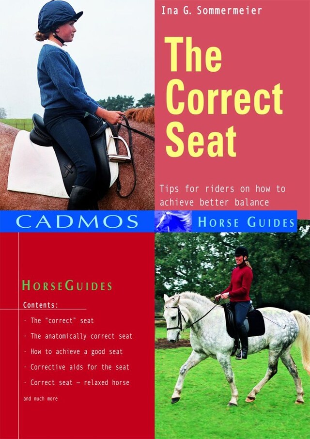 Book cover for The Correct Seat