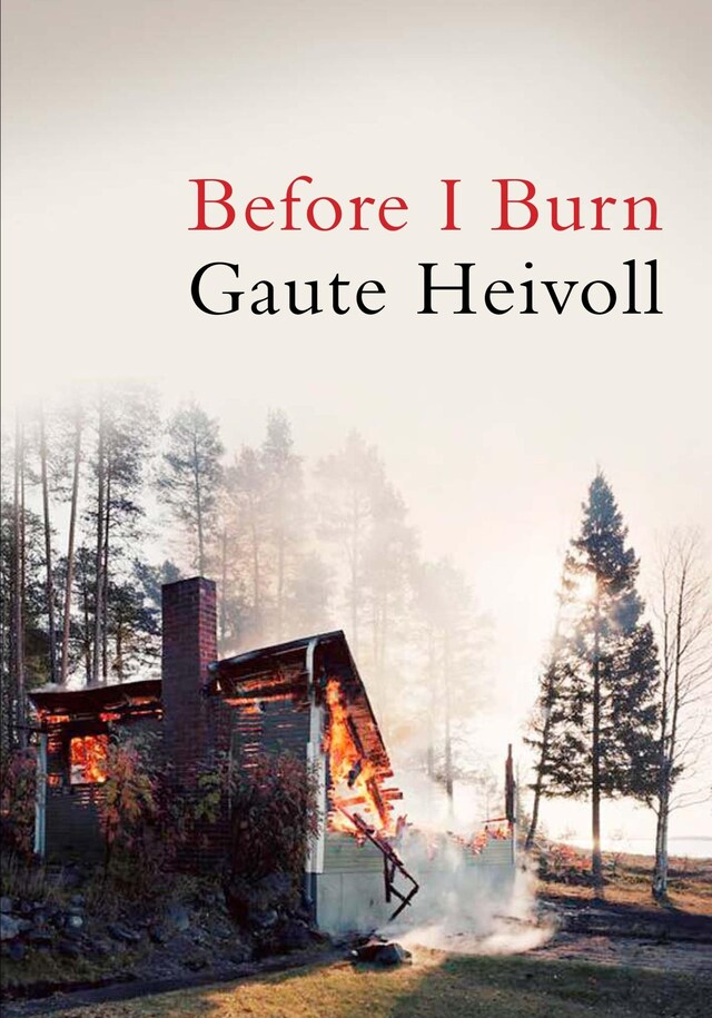 Book cover for Before I Burn