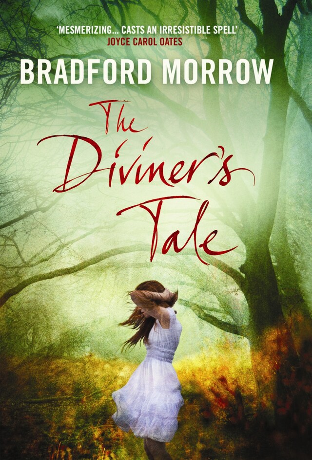 Portada de libro para The Diviner's Tale