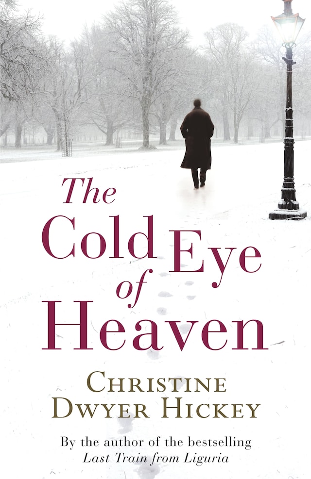 Buchcover für Cold Eye of Heaven