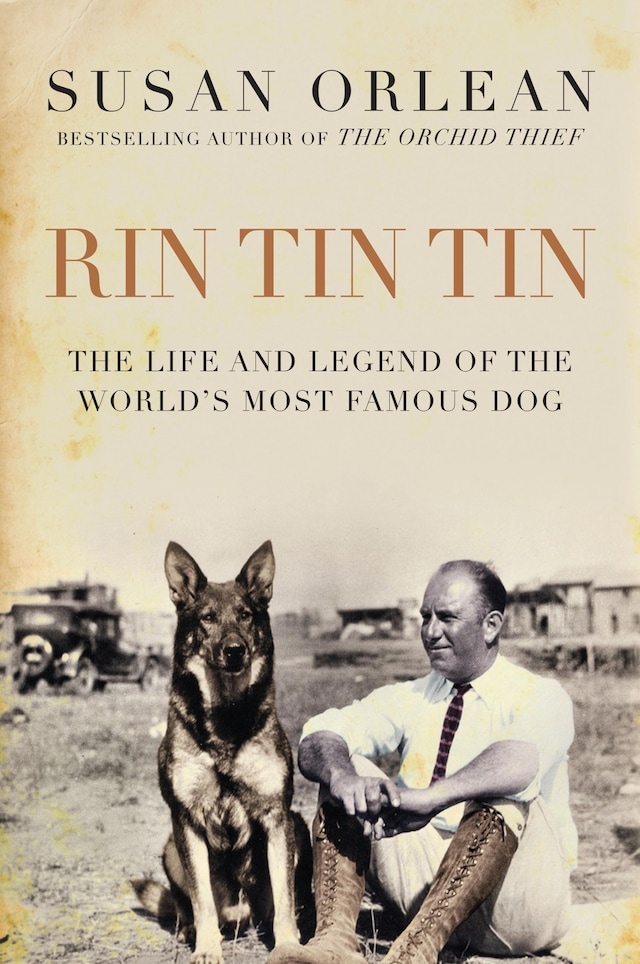 Book cover for Rin Tin Tin