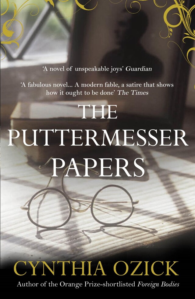 Book cover for The Puttermesser Papers