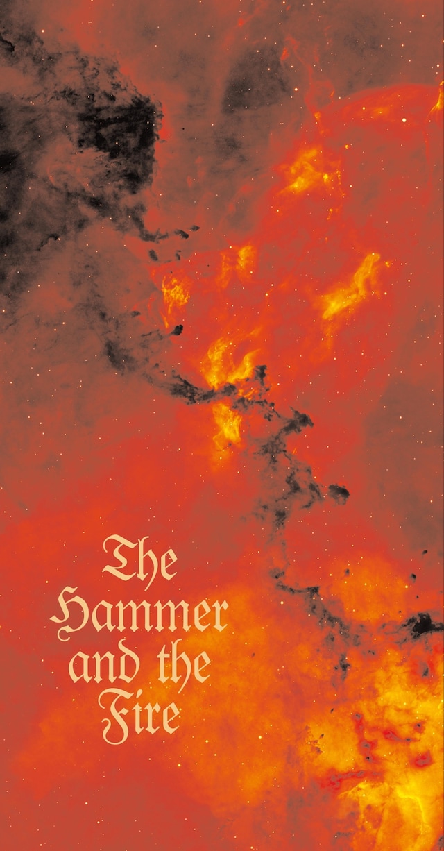 Book cover for The Hammer and the Fire