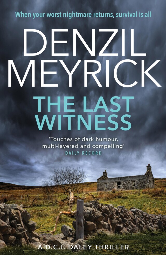 Book cover for The Last Witness