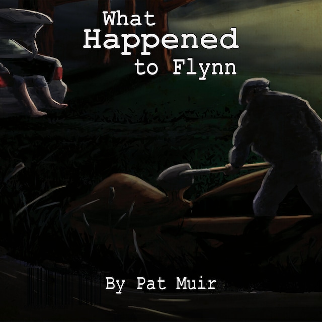 Couverture de livre pour What Happened To Flynn