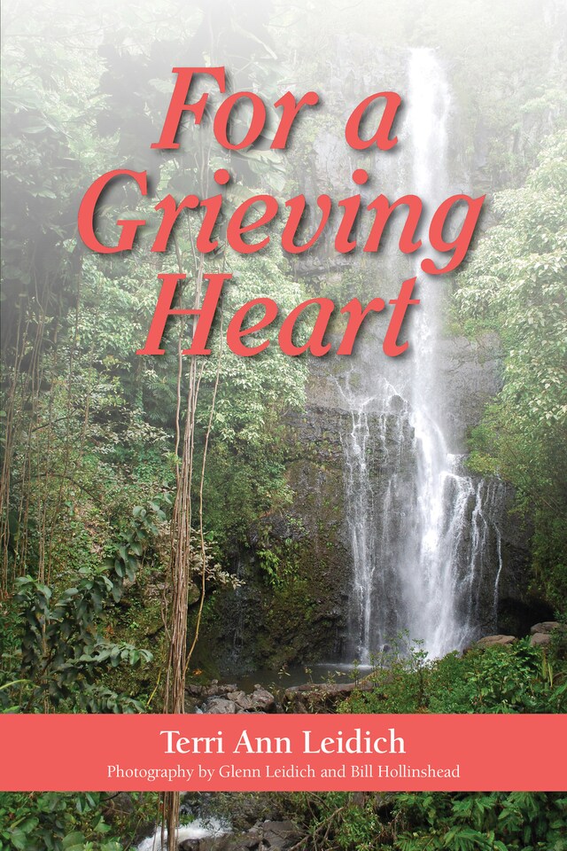 Book cover for For a Grieving Heart