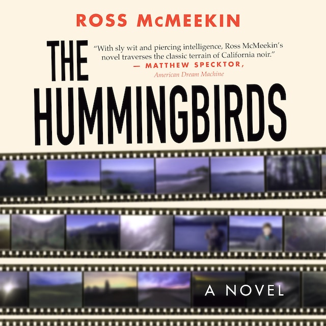 Buchcover für Hummingbirds - A Novel (unabridged)