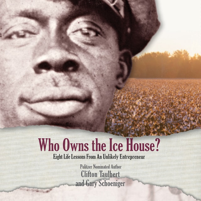 Book cover for Who Owns the Ice House?