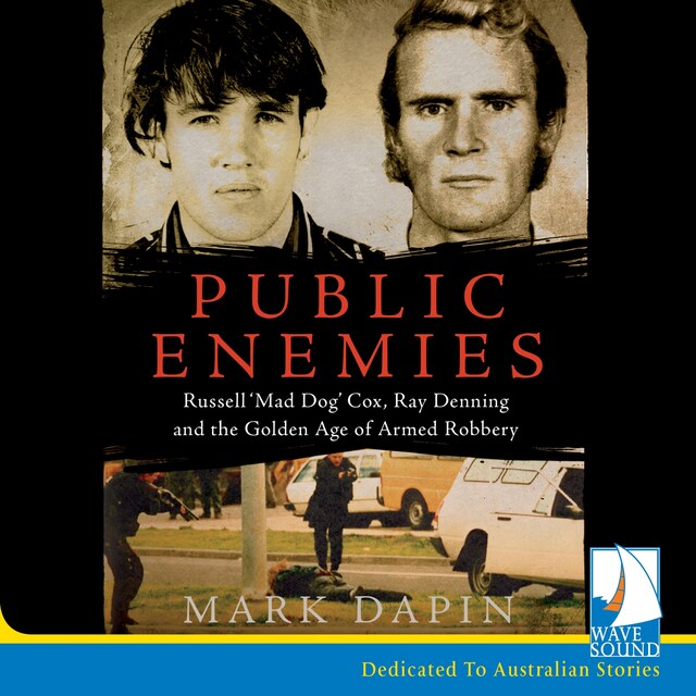 Book cover for Public Enemies