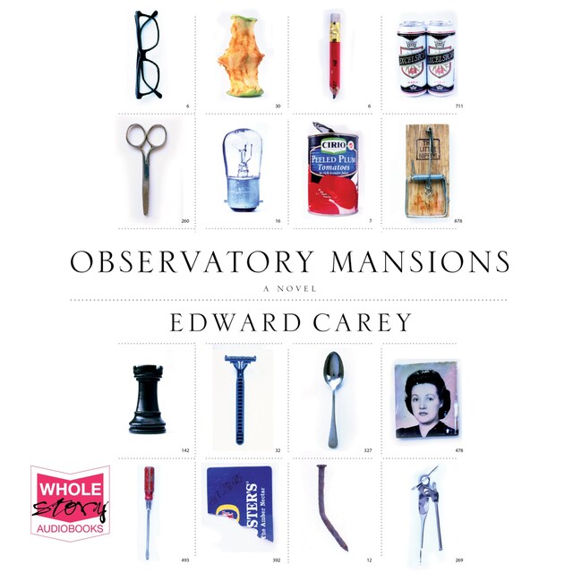 Book cover for Observatory Mansions