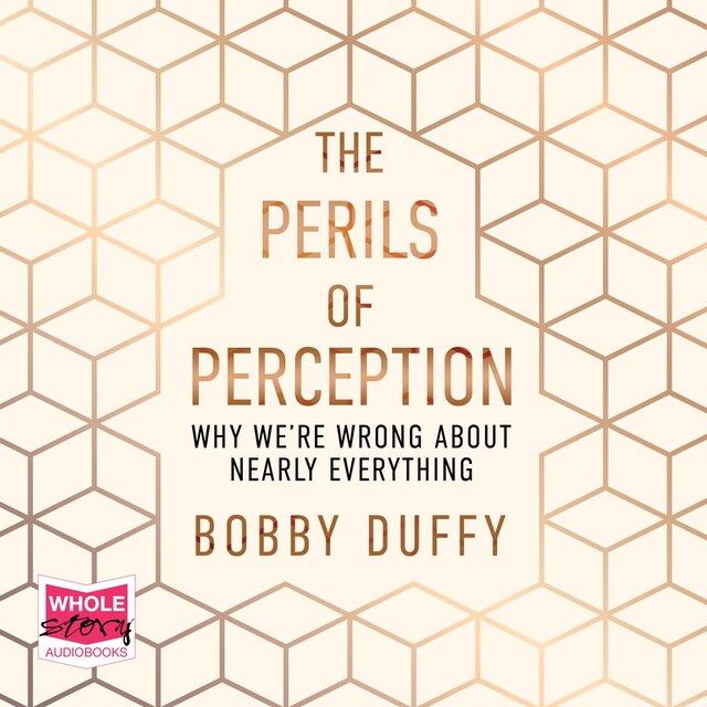 Book cover for The Perils of Perception