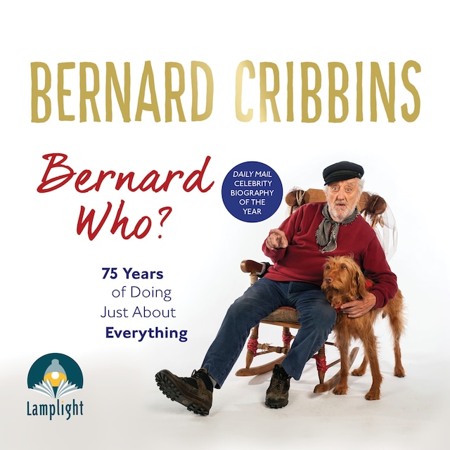 Book cover for Bernard Who?