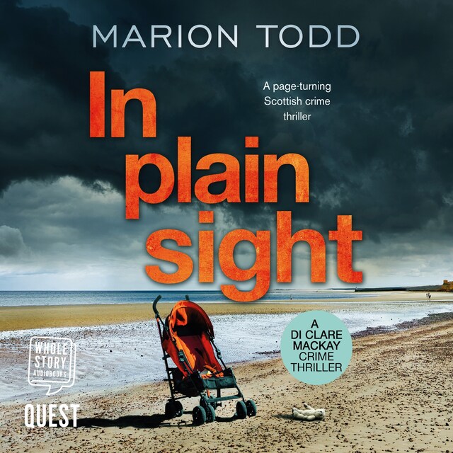 Book cover for In Plain Sight