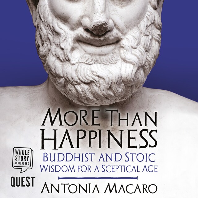 Book cover for More Than Happiness