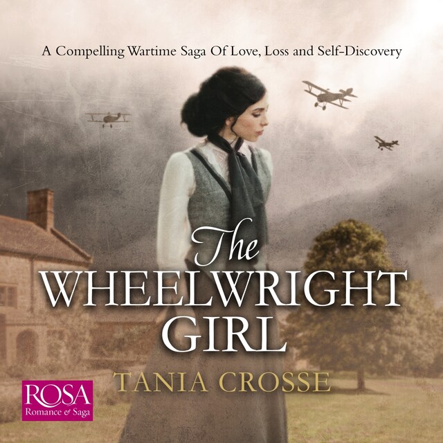 Book cover for The Wheelwright Girl