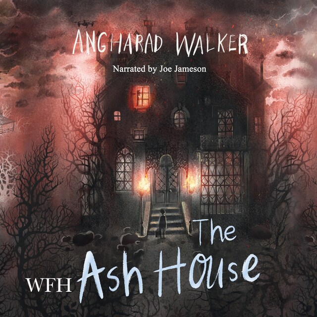 Book cover for The Ash House