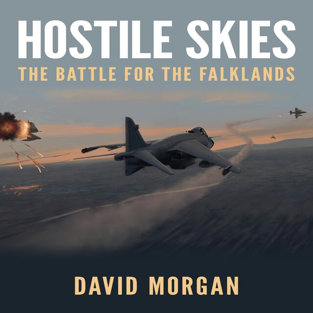 Book cover for Hostile Skies