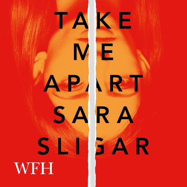 Book cover for Take Me Apart