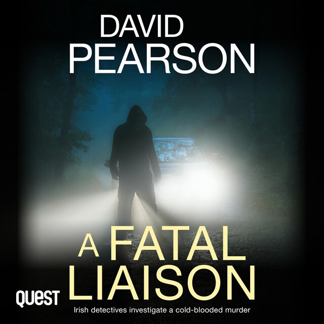 Book cover for A Fatal Liaison: Irish detectives investigate a cold-blooded murder